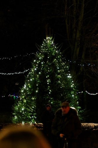 Horsforth Christmas lights switch on 2023.